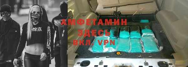 дживик Бронницы