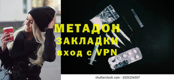 PSILOCYBIN Бородино