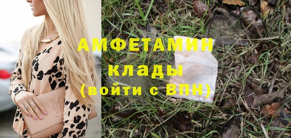 PSILOCYBIN Бородино